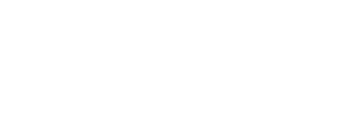 fiesta90y2000-logo element